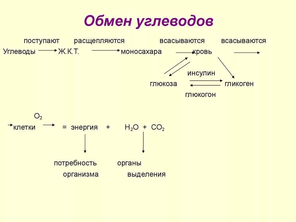 Схема обменных процессов углеводов. Обмен углеводов в организме человека схема 8 класс. Метаболизм углеводов в организме человека схема. Схема обмена углеводов 8 класс биология. Как происходит обмен углеводов