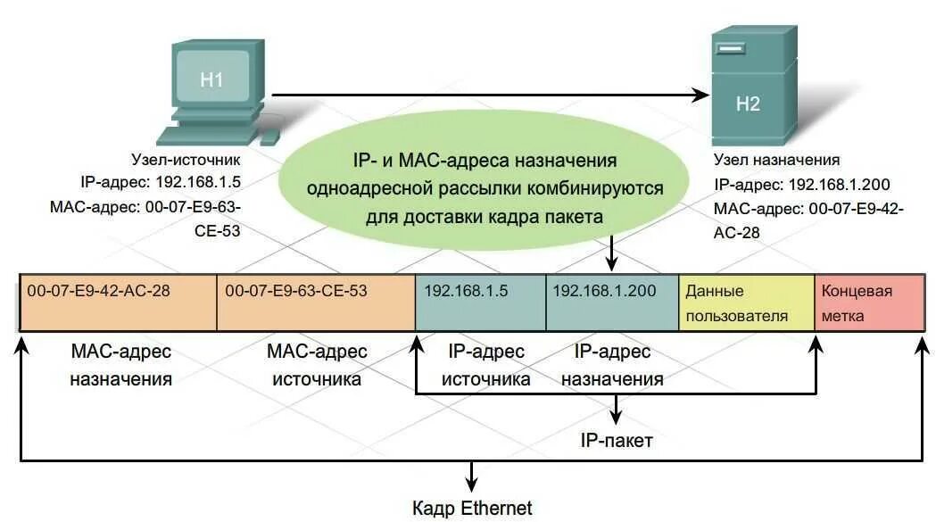 Протокол TCP схема. Протокол TCP/IP для чайников. Канальный уровень TCP/IP Ethernet. Структура пакета Ethernet TCP/IP.