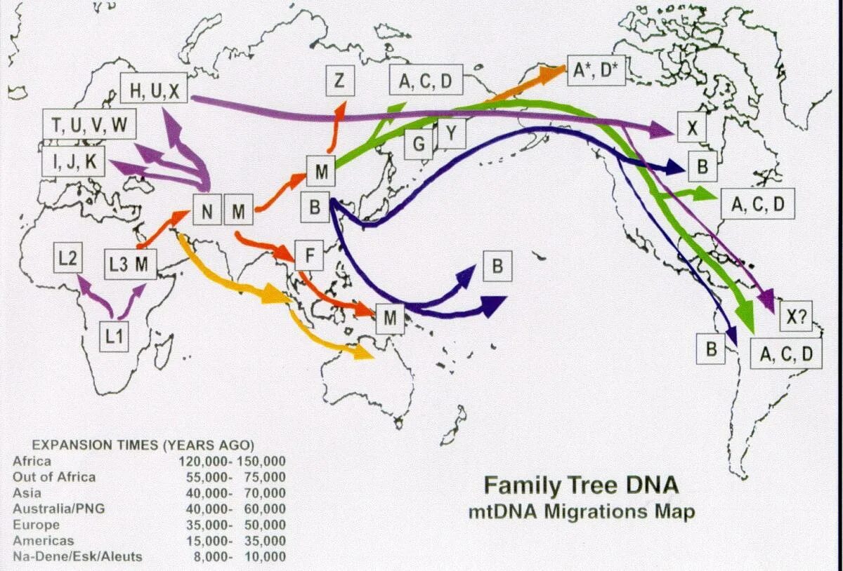 Расселение и миграция. МТДНК гаплогруппы народов Европы. Гаплогруппа митохондриальной ДНК. Карта миграции гаплогрупп. ДНК генеалогия r1a.