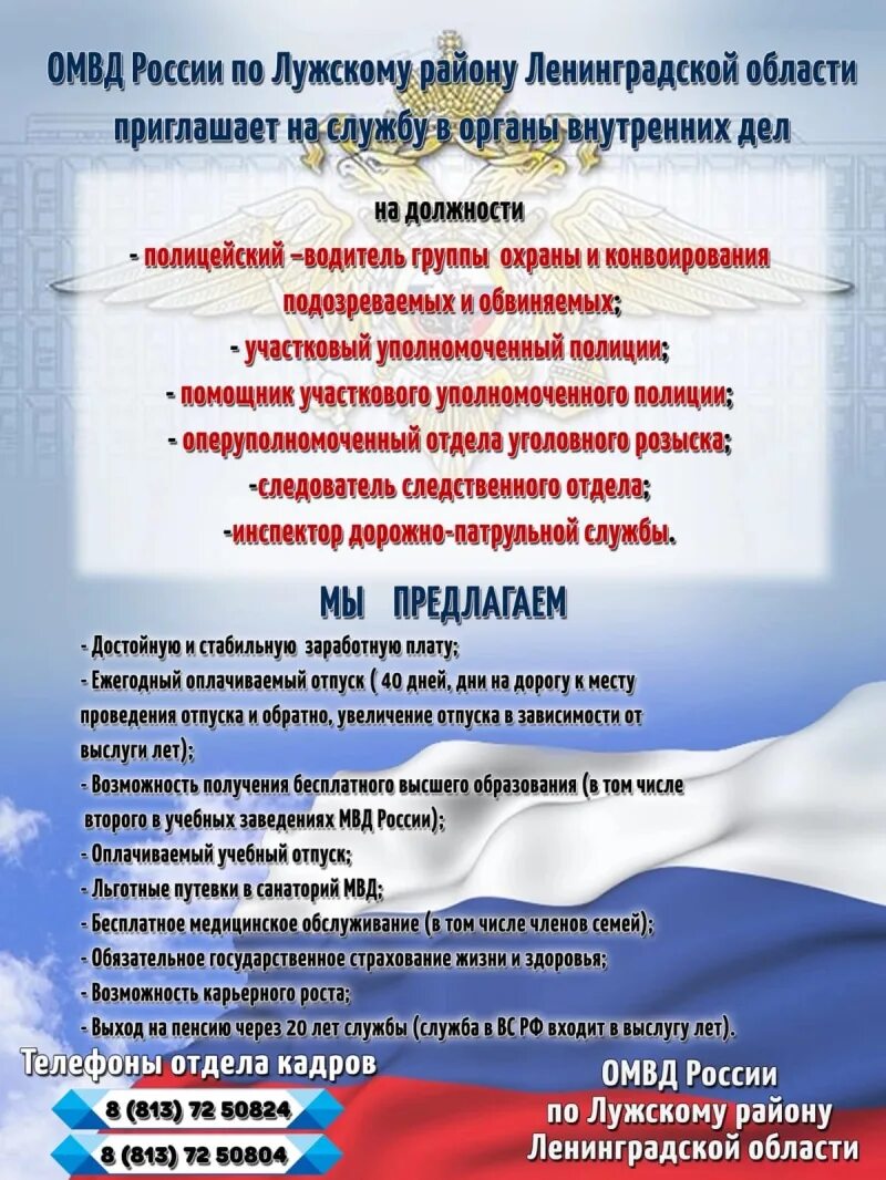 ОМВД по Лужскому району Ленинградской области. Руководство ОМВД России по Лужскому району Ленинградской области. Структура ОМВД по Лужскому району. Руководство Лужского ОМВД России. Омвд ло