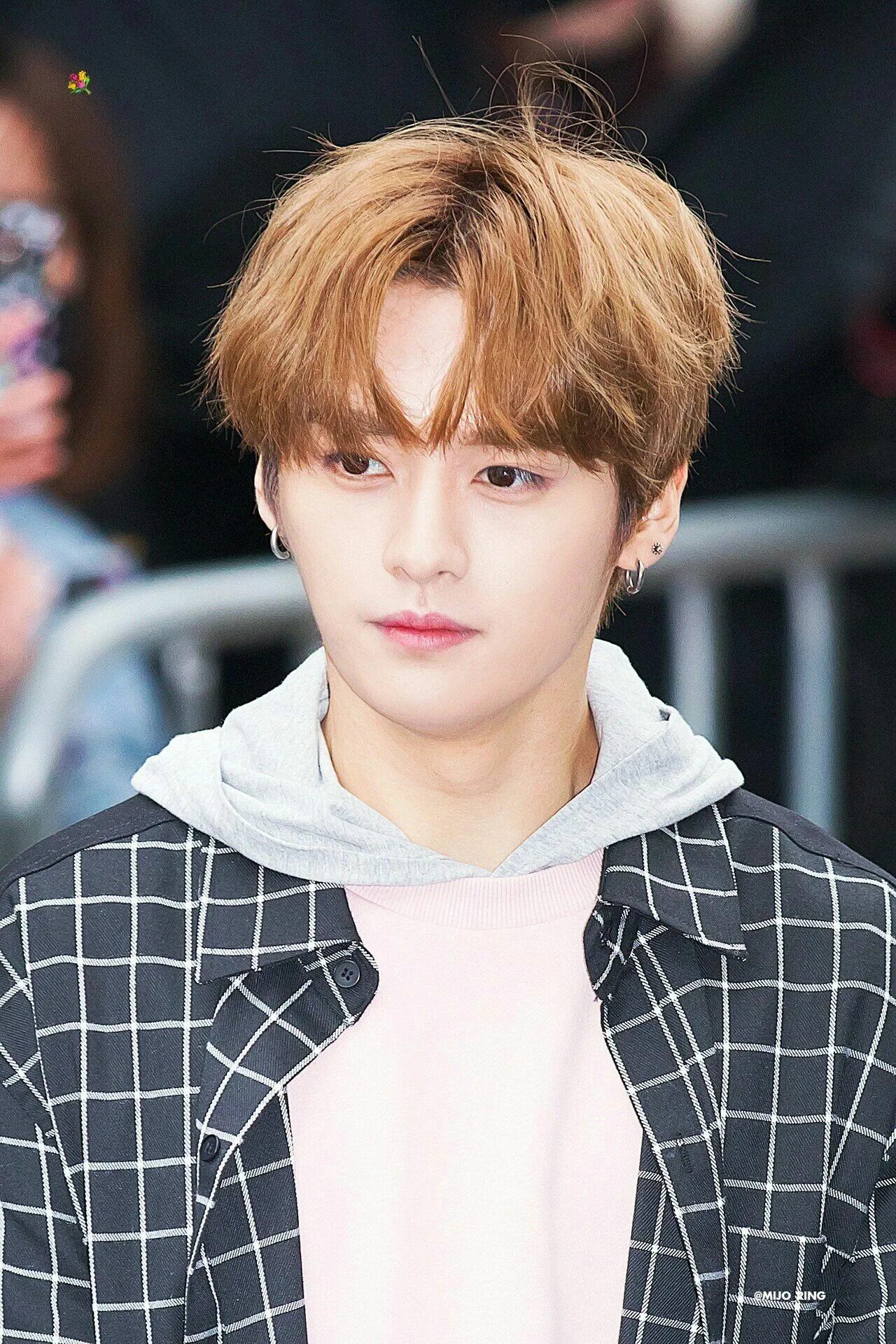 Ли минхо стрэй. Ли мин хо stray kids 2020. Ли ноу stray kids 2020. Lee know stray kids. Минхо stray kids.