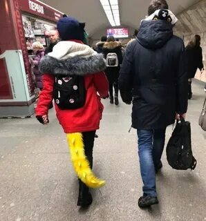 Пушистый модник вологда возрождения