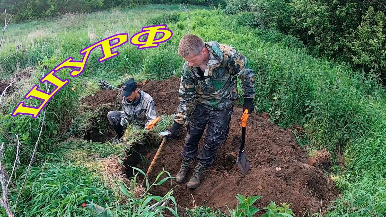 Див кладоискатель. Див кладоискатель