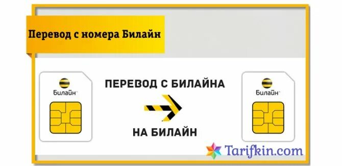 С сим карты билайн на банковскую. Сим карта билайн. сим карта билайн с пчелкой. билайн карточки для оплаты. карта оплаты билайн.