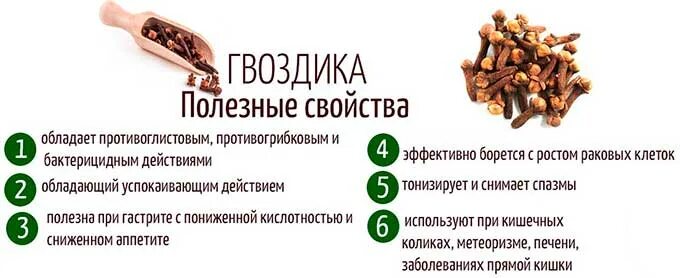 Вред гвоздики для мужчин польза. Для чего полезна гвоздика. полезность гвоздики. лечебные св ва гвоздики. гвоздика чем полезна для организма человека.