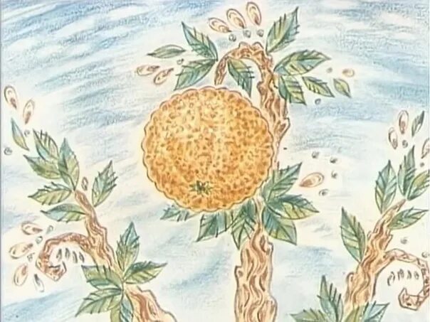 Писахов апельсин. Писахов апельсиновое дерево. сказки писахова апельсин. апельсин писахов рисунок. сказка про апельсиновое дерево.