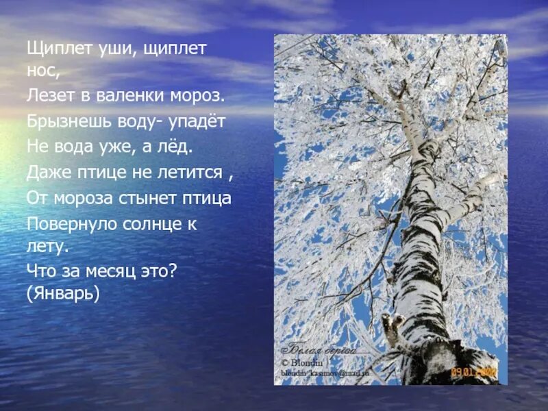 Щипет или щиплет как правильно. Стихотворения о зиме русских поэтов. Стихотворение о русской зиме. Стихи о зиме русских поэтов. Поэты и Писатели о зиме.