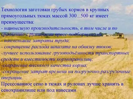 Технология заготовки сочных кормов