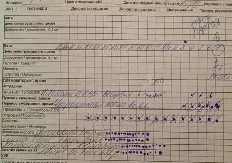 Перенос в криопротоколе в естественном цикле