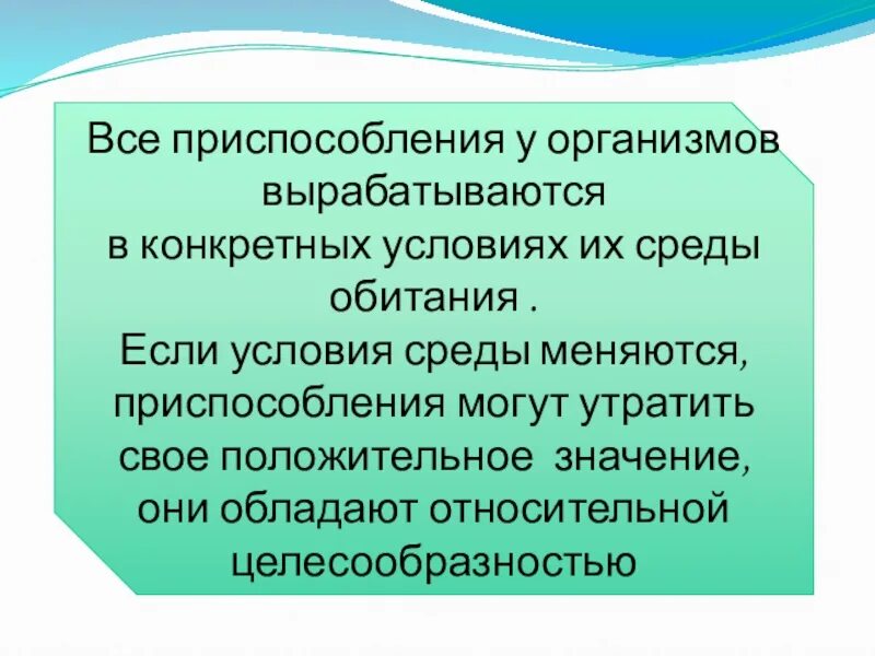 Закономерности возникновения приспособлений к среде. Закономерности возникновения приспособлений к среде