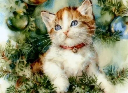 Картинки кот нова