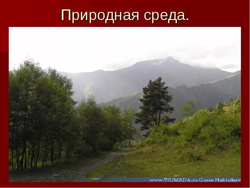 Природная среда представляет собой совокупность. Природная среда. непосредственно природная среда. естественная природная среда это. природная среда первая природа.