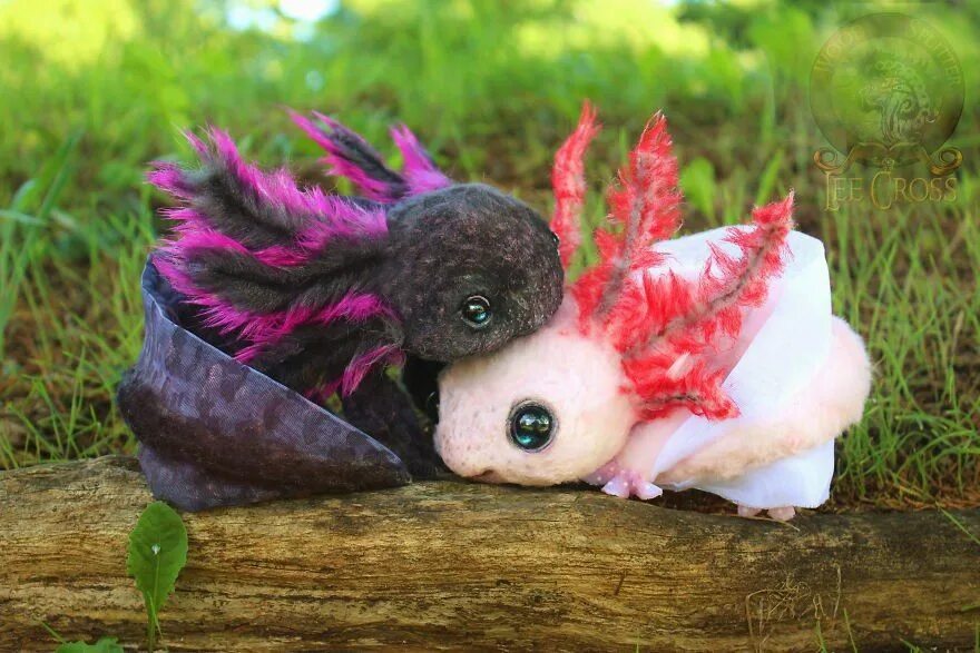 Pin by Татьяна Григ on Глазастики Cute animal drawings, Fantasy art dolls, Cute 