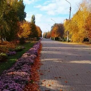 Погода в чернышевке зерноград ростовская
