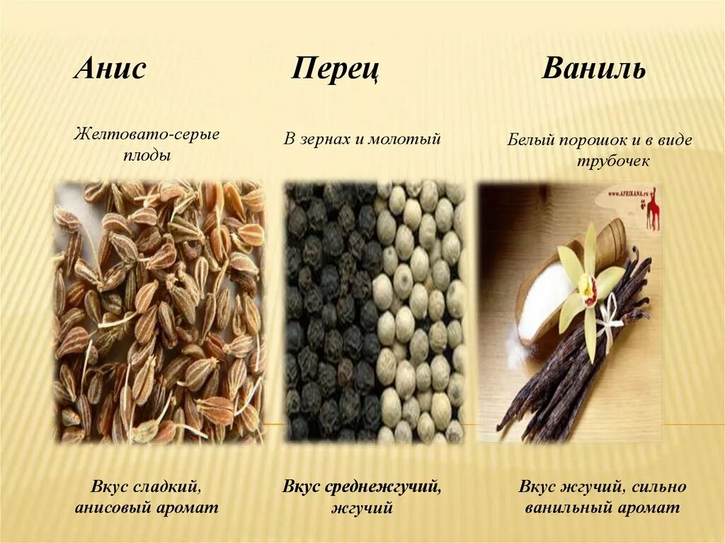 Ваниль содержит. Вкусовые товары презентация. ваниль что содержит. товароведческая характеристика пряностей. семенные пряности список.