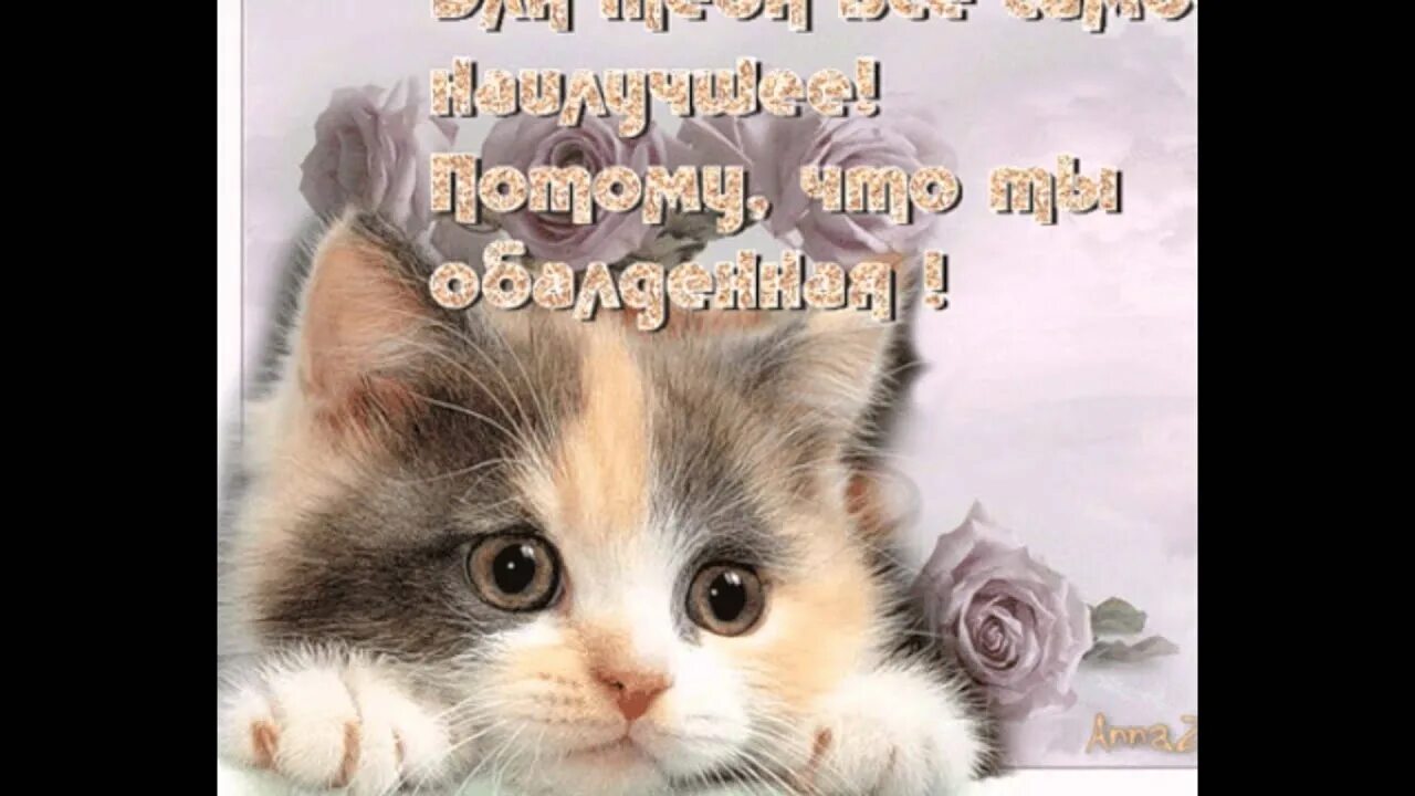 Твой котик. Мой котенок дорогой. Я люблю тебя котенок мой. Люблю тебя гифки с котятами. Люблю тебя котик.