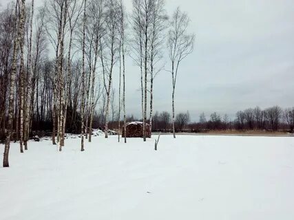 5 участок кировского