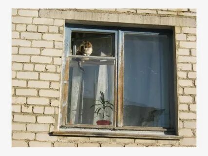 Погода даниловка волгоградской на неделю