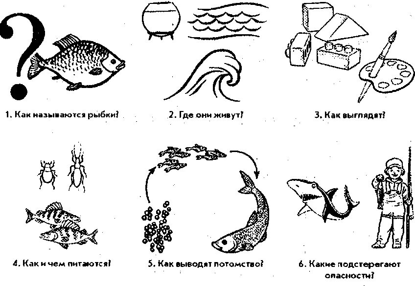 Водоем конспекты занятий. Пресноводные и аквариумные рыбы лексическая тема. Схема описания рыбы дошкольниками. Схема рассказа описания рыбы. Рыбы задания для детей.