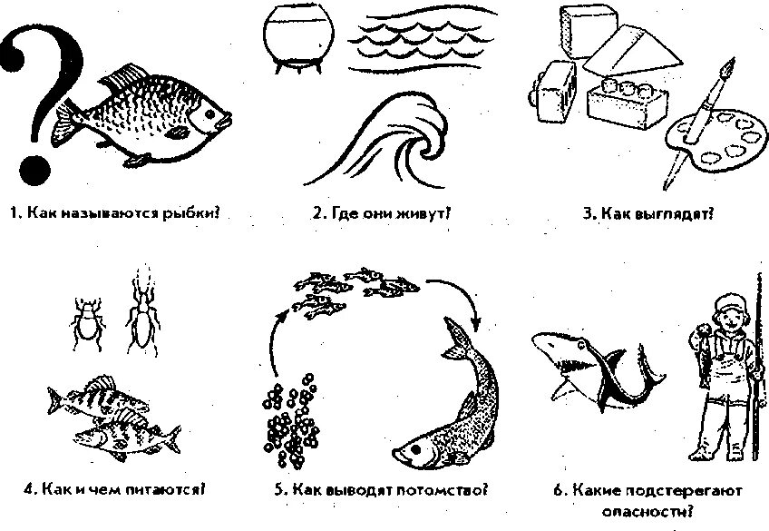 Пресноводные и аквариумные рыбы лексическая тема. Схема описания рыбы дошкольниками. Схема рассказа описания рыбы. Рыбы задания для детей. Водоем конспекты занятий