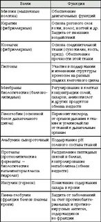 Функции белка химия