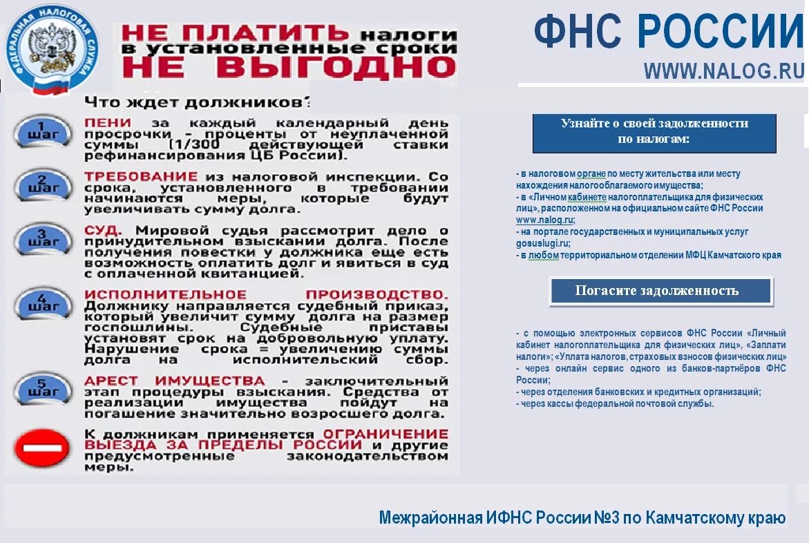 Уплата налогов. Оплата налога. Неуплата налога. Оплатите долги по налогам.