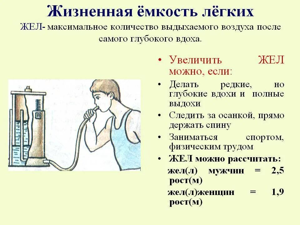 Вода в выдыхаемом воздухе. Жизненная ёмкость лёгких. Жизненная емкость легких жел это. Жизненоемкость легких. Повышения жизненной емкости легких.