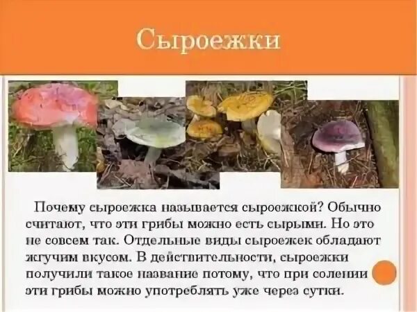 Почему получили такое название