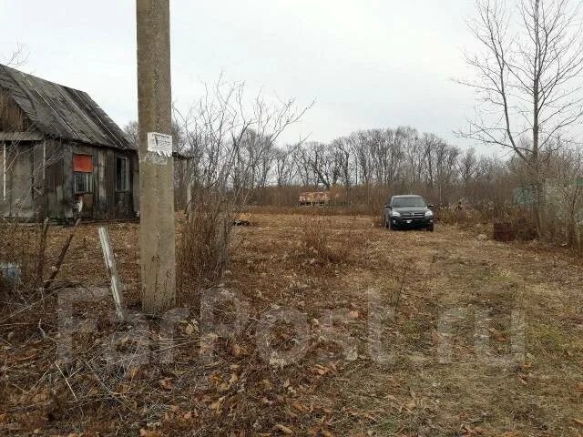 Надеждинский зоопарк надеждинский рисунки. Кипарисово надеждинская. Станция надеждинская приморский край. На даче. С кипарисово -2 название улиц.