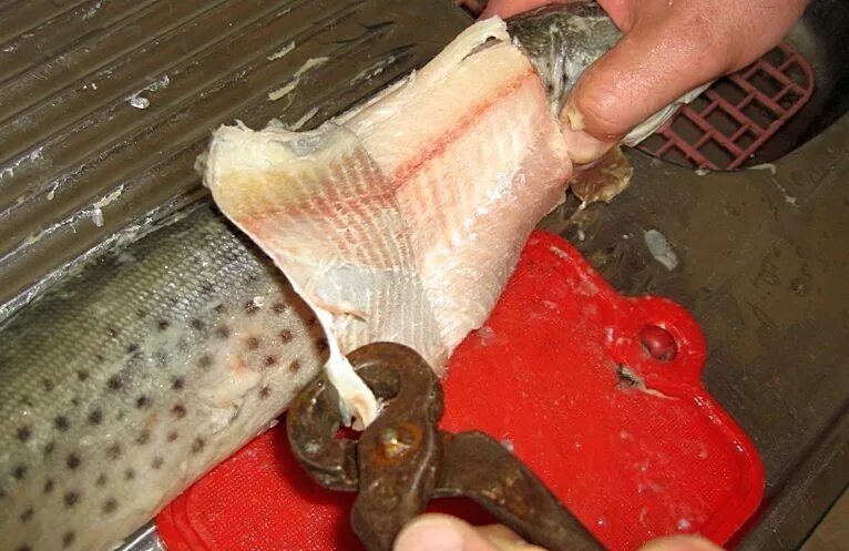 How to Properly Clean a Pike Grand View Outdoors