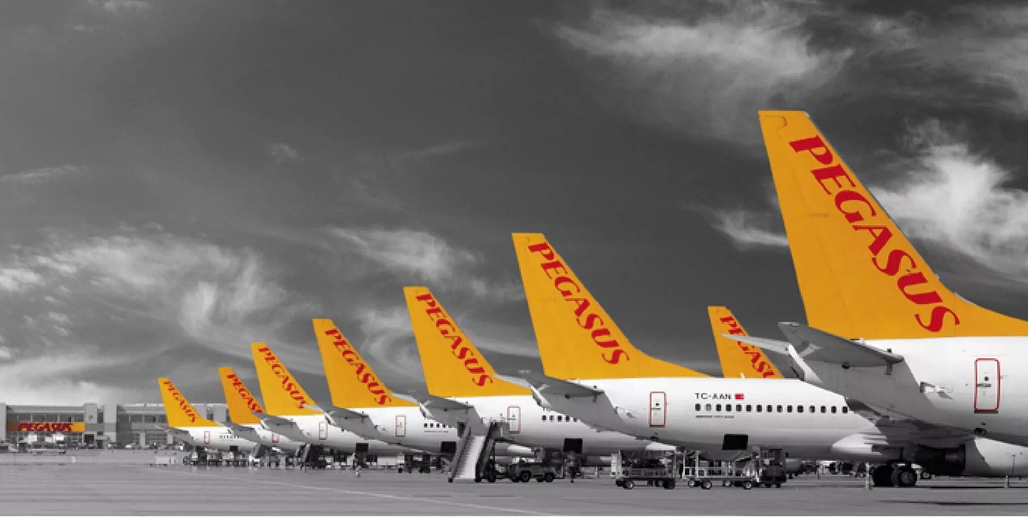 Авиалинии пегасус. Pegasus airlines. пегасус эйрлайнс. пегасус авиакомпания pegasus airlines. парк самолетов пегасус.