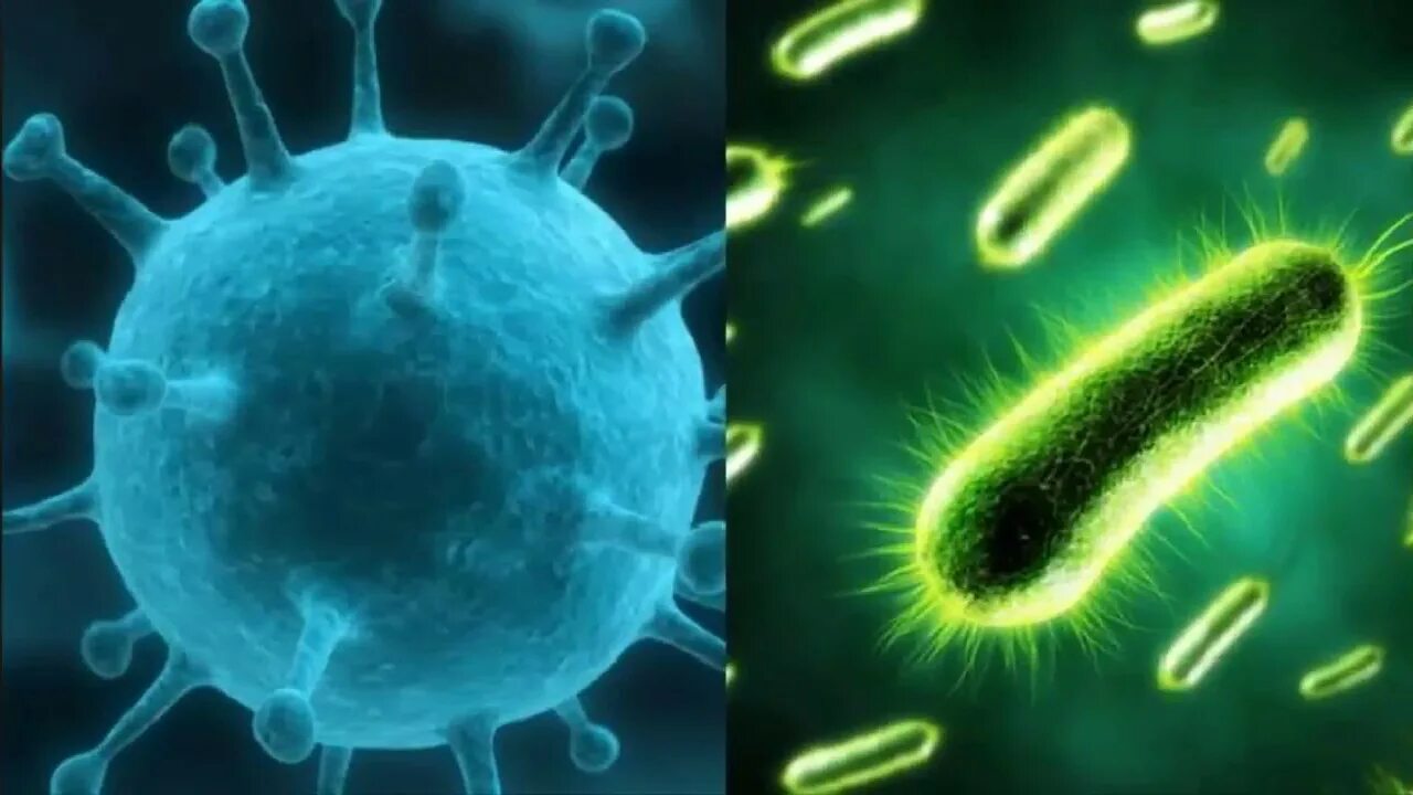 Микробы вирусы бактерии. Вирусы бактерии протисты. Протисив вирусы бактерии. Изображение бактерии. Изображение вирусов и бактерий.