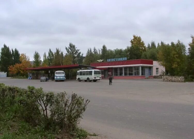 Автобусы судиславль