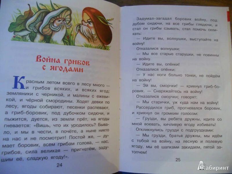 Сказка 2 страницы. Придумать сказку про грибы. город грибов 1 класс сказка. сказка про грибы 1 класс азбука. сочинить сказку про грибы.