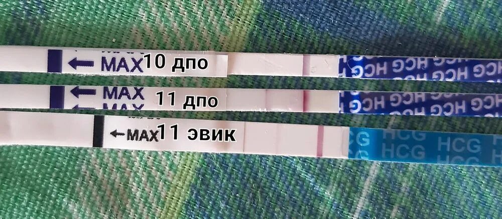 Прикрепление после овуляции. 11 ДПО эвик. 11 ДПО 2 полоски. Тест на 11 день после овуляции. Прикрепление на 11 ДПО.