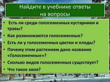 Общая характеристика голосеменных 7 класс