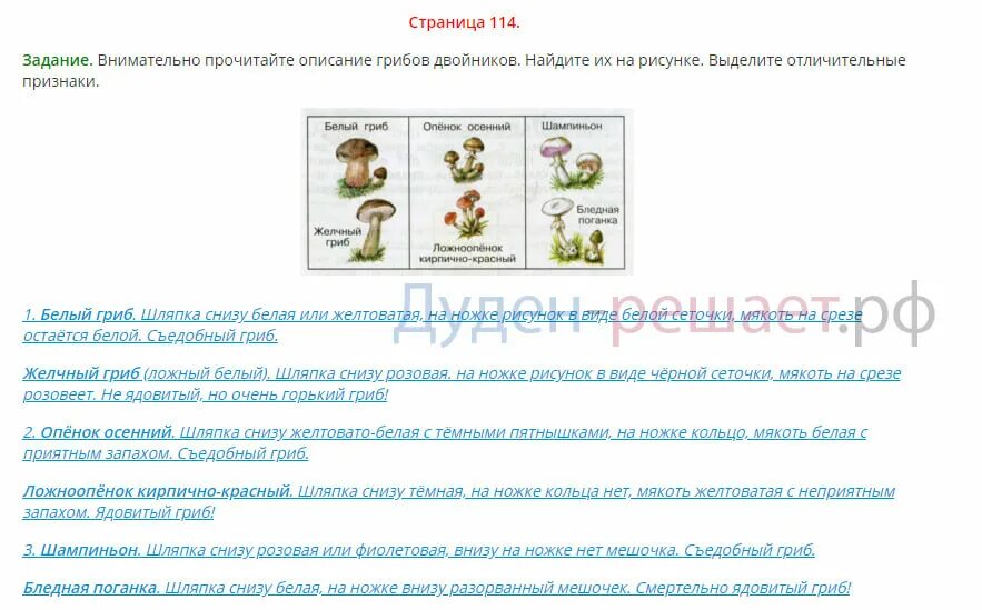 Проверочная работа по теме грибы 3 класс. Грибы 3 класс окружающий мир в учебнике плешаков. окружающий мир 3 класс тема царство грибов плешаков. учебник по окружающему миру 3 класс в царстве грибов. окружающий мир 3 класс учебник 1 часть грибы.