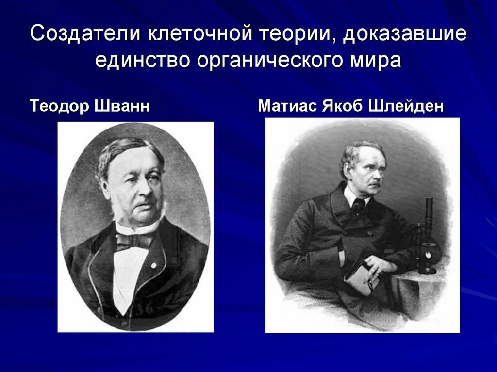 Основатель учения. Шванн Шлейден Вирхов. Маттиас Шлейден и Теодор Шванн клеточная теория. Создатели клеточной теории – т. Шванн, м. Шлейде. Создатели клеточной теории т Шванн м Шлейден.