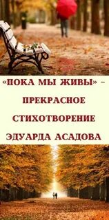 Стих эдуарда асадова пока мы