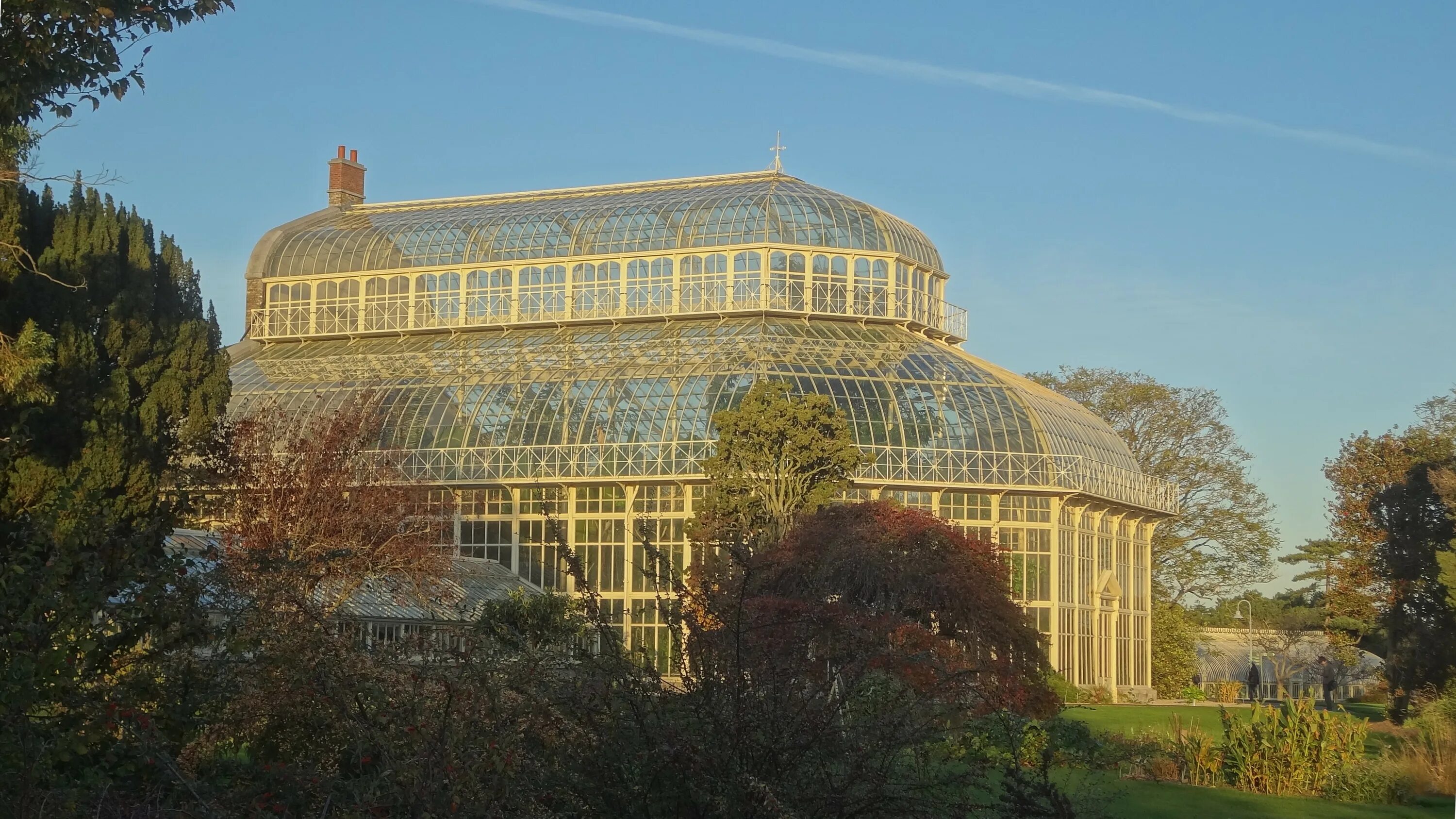 Irish national. Ботанический сад Ирландии. National Botanic Gardens (Ireland). Botanical Gardens Dublin.