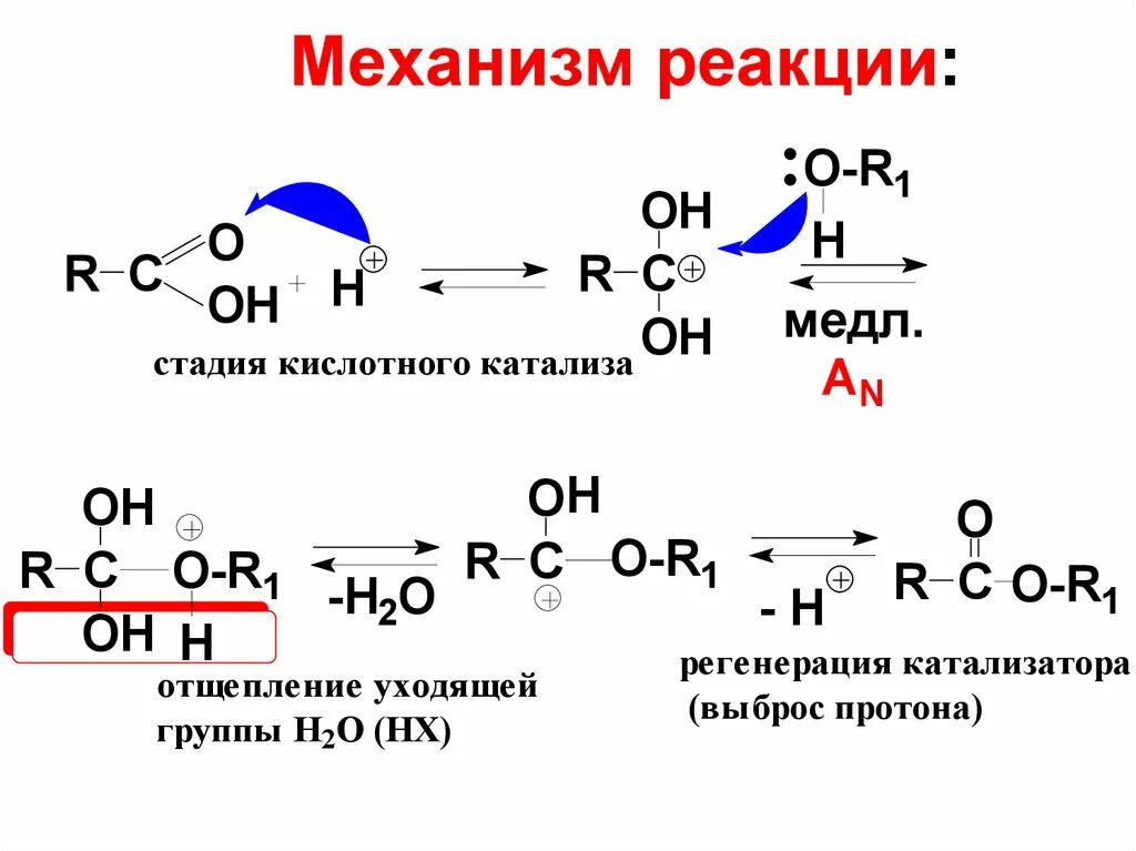 Галоформная реакция механизм реакции. Реакция Перкина для альдегидов механизм. Механизм реакции получения сложных эфиров. Реакция Перкина механизм. Механизм реакции описывает