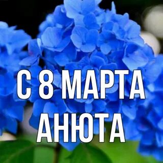 Анюта цветок