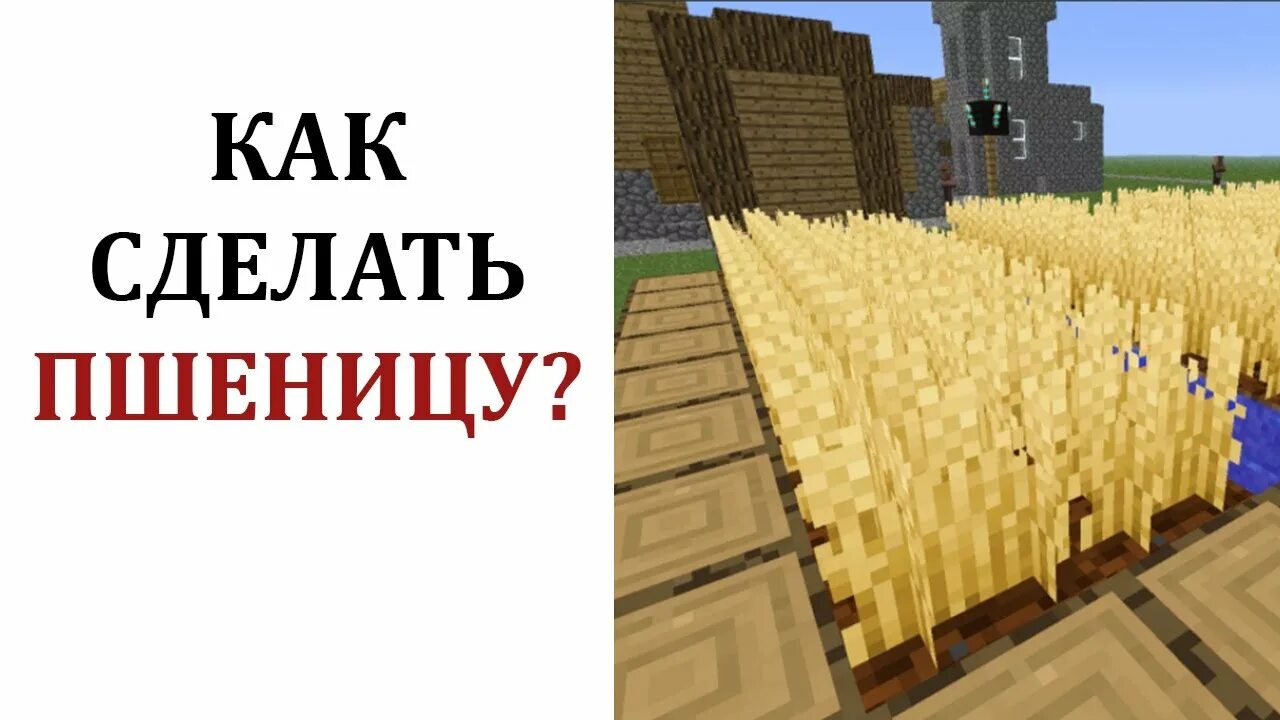 Как сделать ферму пшеницы в майнкрафте автоматическую. Семена пшеницы майнкрафт. выращенная пшеница в майнкрафте. пшеница в майнкрафте крафт. майнкрафт крафты с пшеницей.