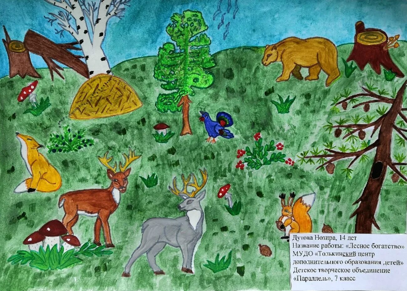 Рисунок на тему лес. Рисование на тему лес наше богатство. Конкурс лес наше богатство. Рисунок леса для детей. 1 лес наше богатство
