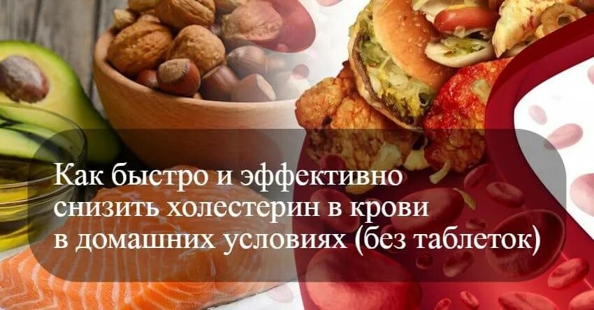 Продукты для снижения холестерина. Поодуктыснижают холестерин. Продукты понижающие холестерин.