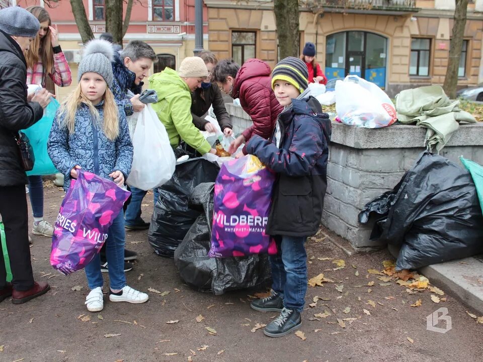 События в выборге