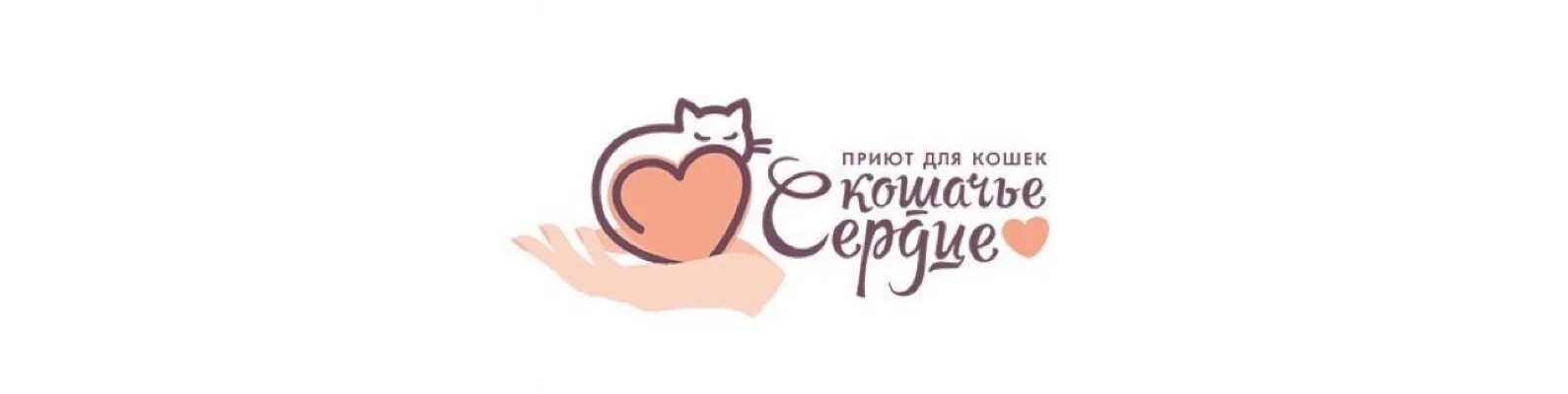 Кошачье сердце приют Екатеринбург. Екатеринбург приют для кошек кошачье сердце. Кошачье сердце приют Екатеринбург телефон. Приют для котят Екатеринбург. Номер приюта для кошек