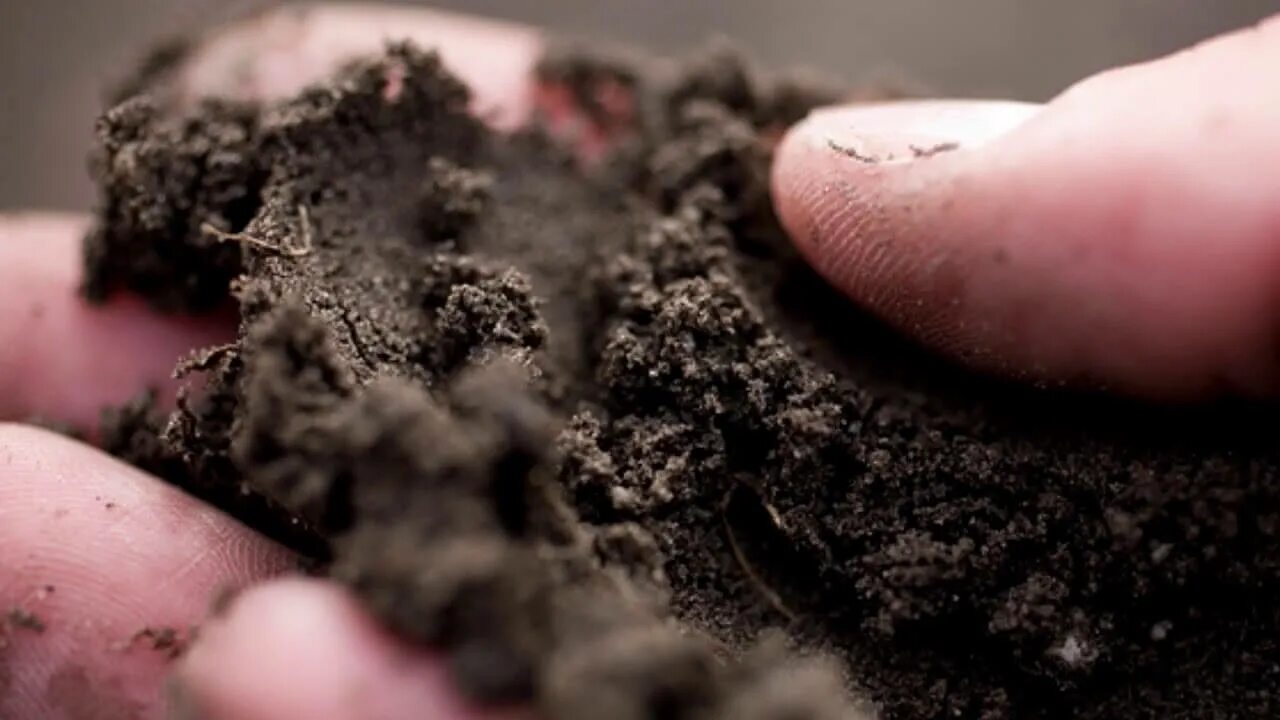 Почвы повышенной влажности. Почвенная влага. Влажная почва. Пластичность почвы. Смоченная почва.