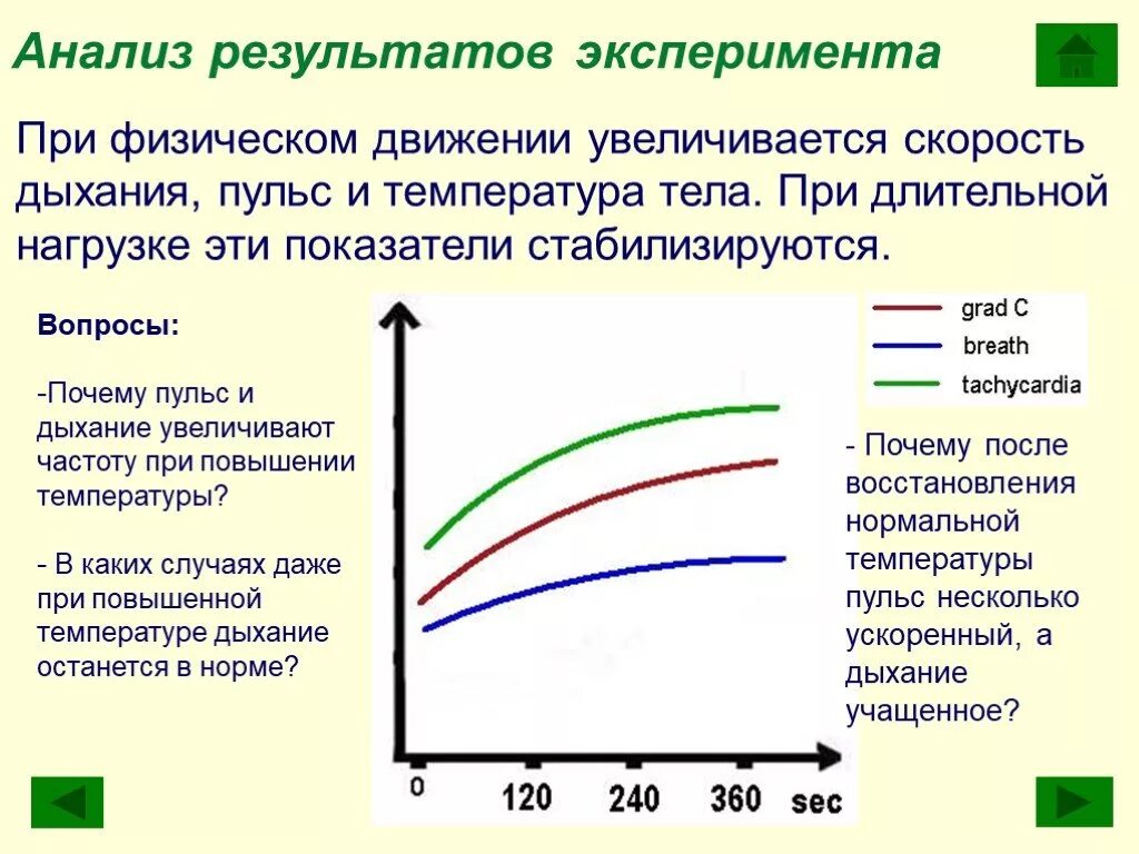 Температура тела после физических нагрузок. Повышение пульса при температуре. Причины изменения пульса. При физической нагрузке температура тела повышается. Зависимость пульса от физической нагрузки.