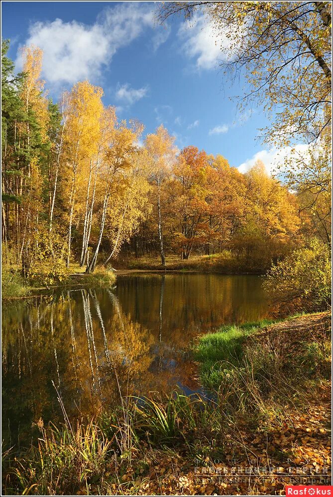 ул осенняя д 18. ул осенняя д 14 москва. леди осень картинки. осенняя 18. ртс крылатское осенняя ул.